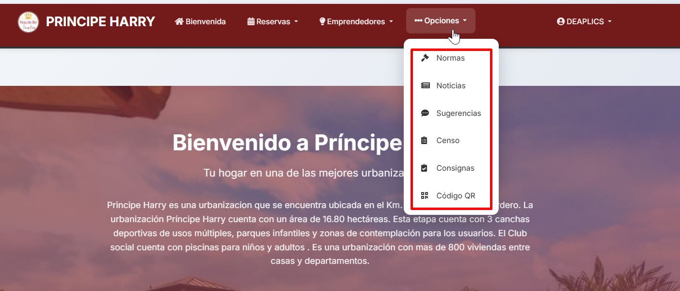 Menú de Opciones